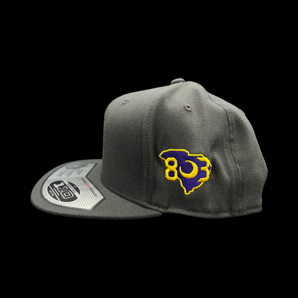 Flexfit 110 Northwestern Trojans 803 Special Edition Flatbill Hat