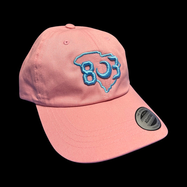 803 Yupoong Adjustable Pink Blue Cleanup Hat