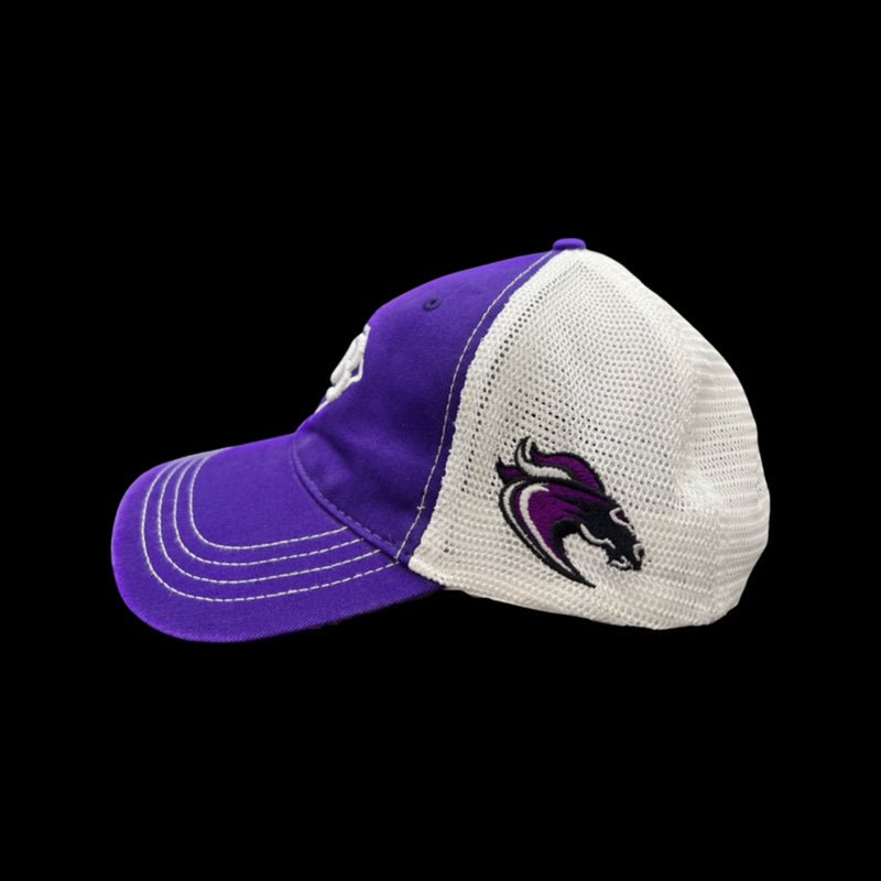 803 Ridge View Blazers Special Edition Purple White Cleanup hat
