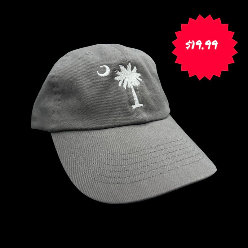 1776 $19 Palmetto Moon Charcoal Cleanup Hat