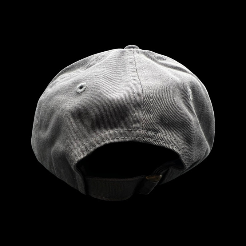 1776 $19 State Palmetto Moon Charcoal Cleanup Hat
