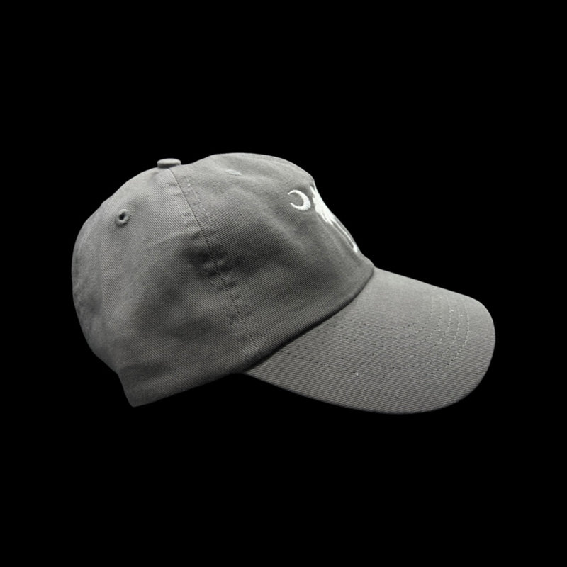1776 $19 Palmetto Moon Charcoal Cleanup Hat