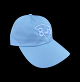 803 Yupoong Adjustable Light Blue Cleanup Hat