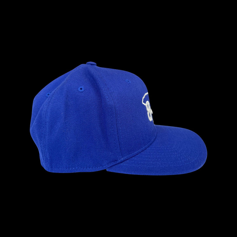 803 Flexfit Flatbill Snapback Hat Royal Blue